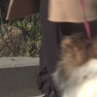 Blurry Input 05